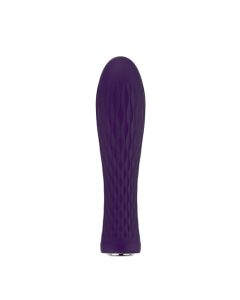 Nalone Ian Bullet Vibrator - Paars